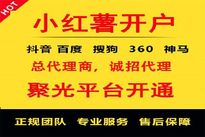 SEM精准广告投放的五大成功案例